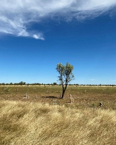 typical pastoral station landscape within Project Valhalla